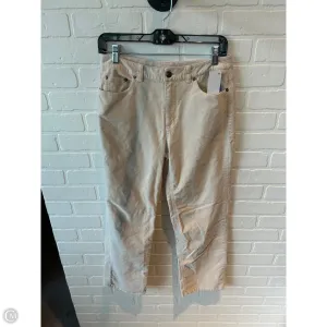 Pants Other By Talbots In Cream, Size: 6p