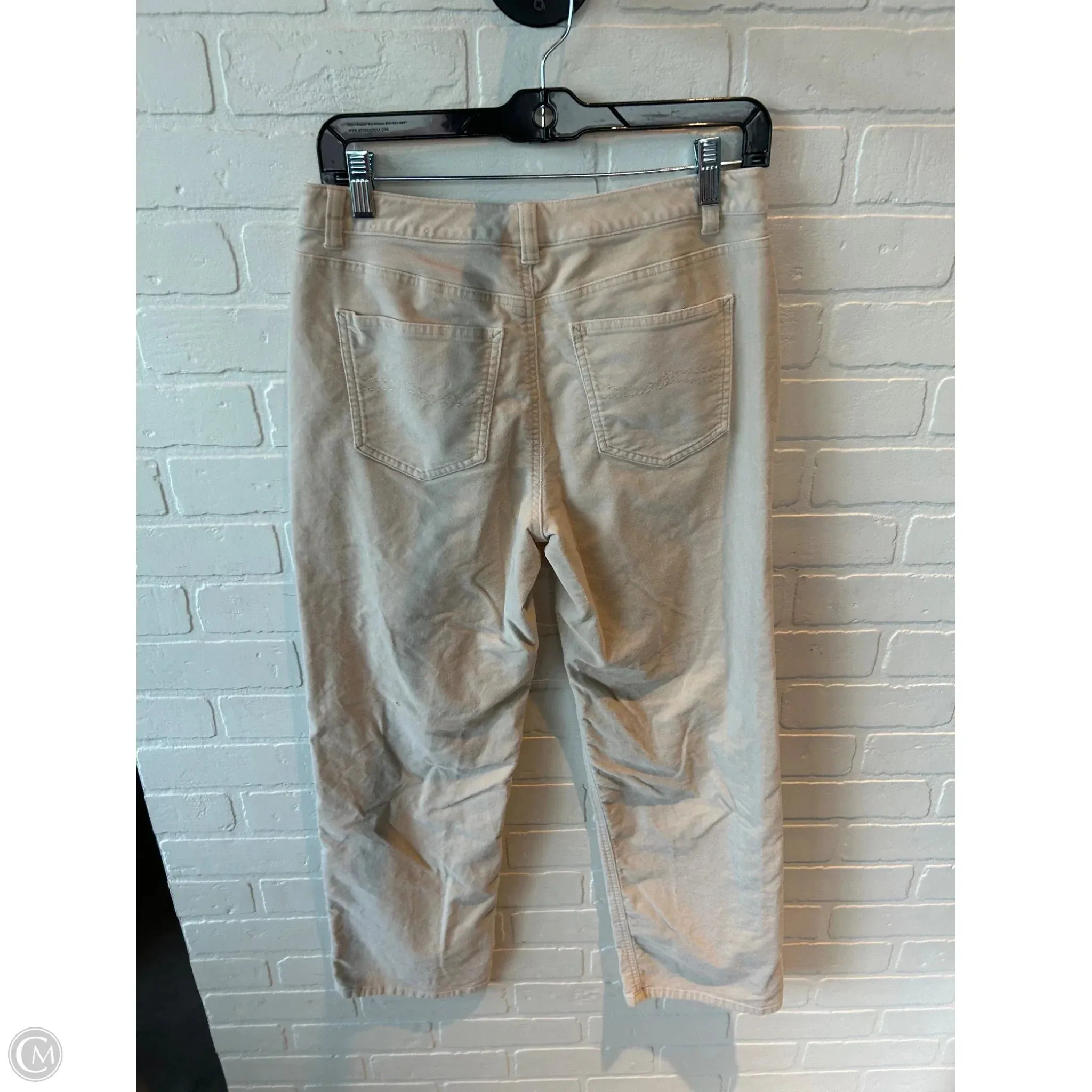 Pants Other By Talbots In Cream, Size: 6p