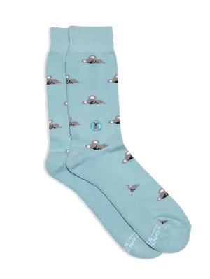 Socks That Protect Koalas